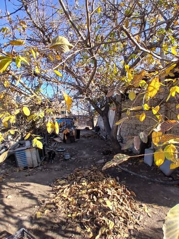 Продажа домов: Дом, 10 м², 5 комнат, Косметический ремонт — 8