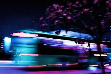 Другие услуги: Фотосессия в городе Бишкек. 1 час - 3000 с. Вы получите от 20 до 40 — 18