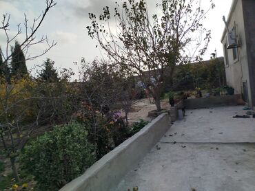 Həyət evləri və villaların satışı: 4 otaqlı, 180 kv. m, Yeni təmirli — 13