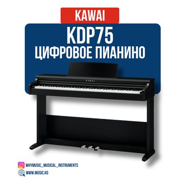 Пианино: Пианино цифровое Kawai KDP 75 Kawai KDP 75 — это компактное и