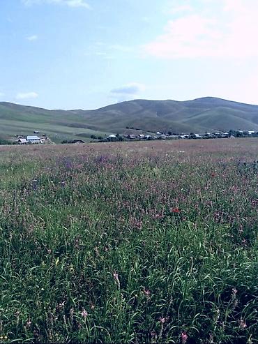 bakıda ev kirayə verilir: 3 otaqlı, 100 kv. m, Orta təmir — 8