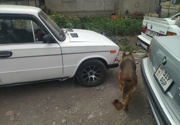 ВАЗ (ЛАДА): ВАЗ (ЛАДА) 2106: 1986 г., Механика, Бензин, Седан — 3