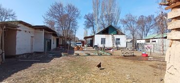 жалалабат дом: Үй, 3333333 кв. м, 8 бөлмө, Менчик ээси, ПСО (өз алдынча бүтүрүү)
