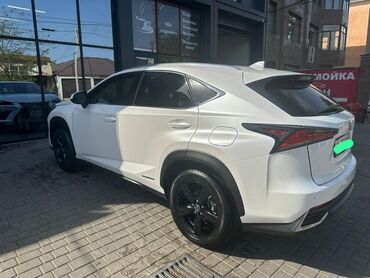 Lexus: Lexus NX: 2017 г., 2.5 л, Автомат, Бензин, Кроссовер