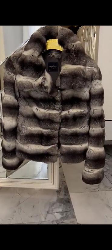 silver chinchilla: Təbii şinşila, s-m ölçü. çox baha alınıb. Xahiş edirəm tülkü/rıs ilə — 2