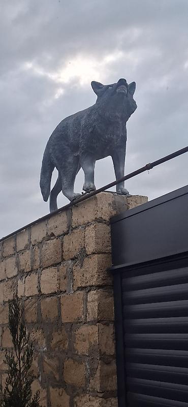 Fiqurlar: Fiqur — 6