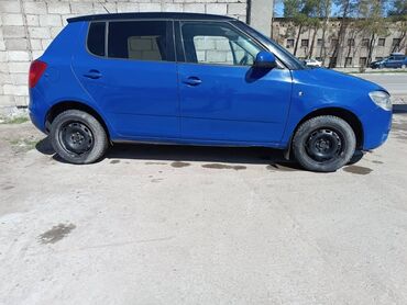 Skoda: Skoda Fabia: 2009 г., 1.2 л, Механика, Бензин, Кроссовер