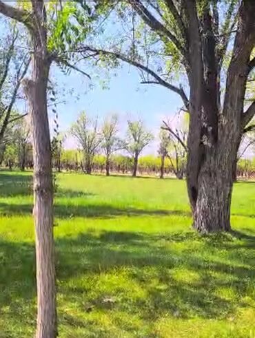 Продажа участков: 300 соток, Для строительства — 9