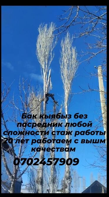 пила дисковая: Калысбек алай без посредников #1 спилью дерево любой сложности. -20