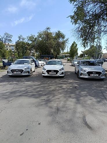 sonata: Hyundai Sonata: 2020 г., 2 л, Автомат, Газ, Седан — 2