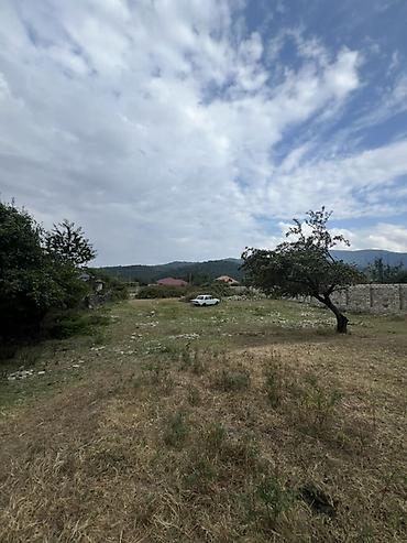 cıxarış nədir: 30 sot, Tikinti, Mülkiyyətçi, Kupça (Çıxarış) — 3