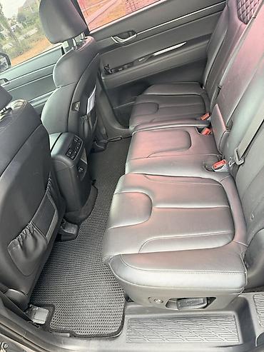 зонт телефон держатель: Hyundai Palisade: 2019 г., 2.2 л, Автомат, Дизель, Кроссовер — 5
