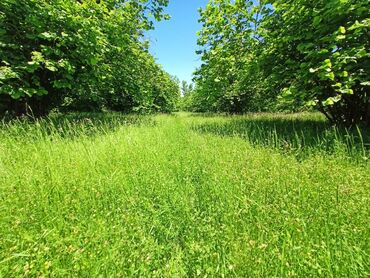 sixovda torpaq sahesi: 23 соток, Для строительства, Собственник, Купчая