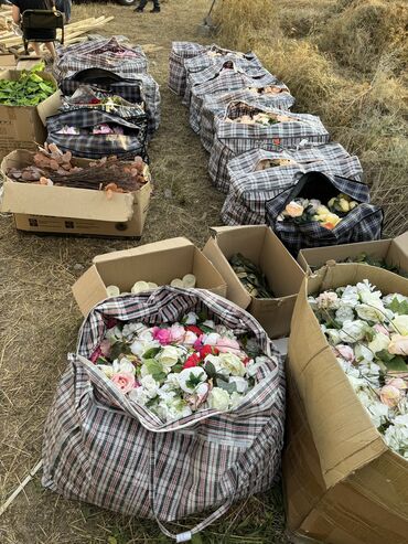 Декоративные цветы: Продаю цветы для оформления Каркасосвещениецветы разныесвечи на — 20