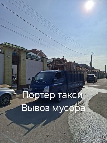 йоркширский терьер сколько стоит: Портер такси портер такси портер такси портер такси портер такси