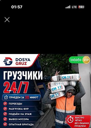it hub: Грузчики DOSYA GRUZ — 24/7 Профессиональные погрузо‑разгрузочные — 1