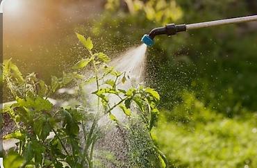 Опрыскиватели: Опрыскиватель Ранцевый — 7