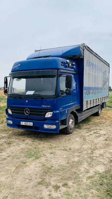 косилка тракторная роторная цена: Mercedes-Benz : 2005 г., 6.3 л, Механика, Дизель, Бус