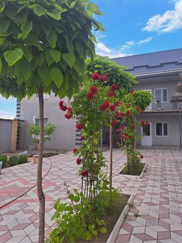 ищу дом на иссык куле: Керебет, Чолпон-Ата