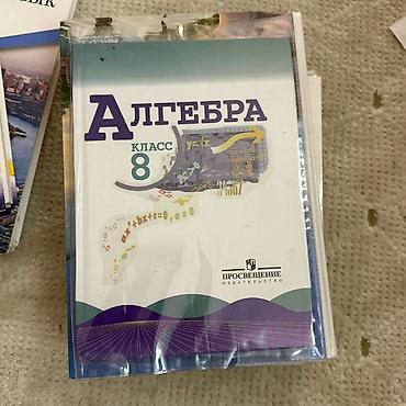 solutions elementary: Физика АВ Перышкин английский Балута, Абдышева алгебра Макарычев — 3