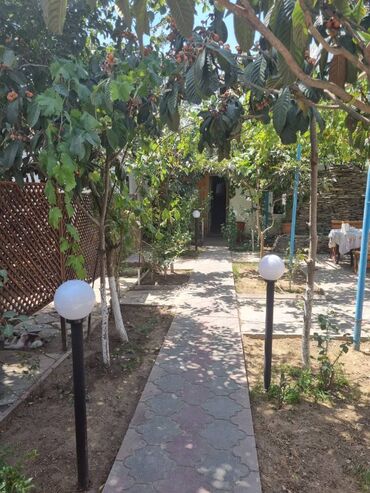 Restoran, kafelər: Yeni Günəşli V massivində yol kənarı,sahəsi 300kv/m olan,(10 sot — 11