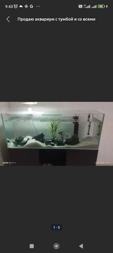 Продаю аквариум со шкафом и с полным комплектом (2 лампы,2