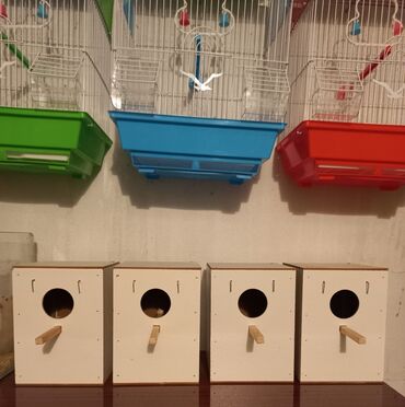 Xaltalar, qayışlar və tasmalar: Topdan qiymətinə yeni qəfeslər. istənilən rəngdə və sayda var