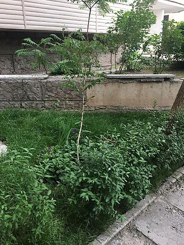 Продажа квартир: 4 комнаты, 88 м², 106 серия улучшенная, 1 этаж, Дизайнерский ремонт — 17