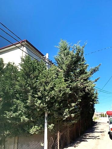 mini evlər: Hökməli 6 otaqlı, 750 kv. m, Kredit yoxdur, Orta təmir — 3