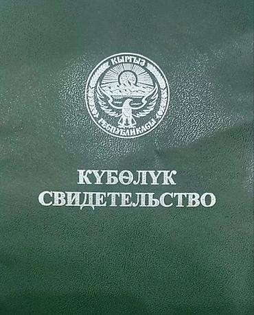 зелёный городок: 21 соток — 1