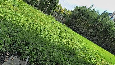 земля коп: 🌿 Ухоженный участок без лишних хлопот! Предлагаем профессиональное — 9