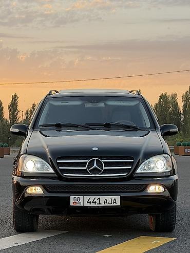 gl x164: Mercedes-Benz ML-Class: 2004 г., 3.5 л, Автомат, Газ, Внедорожник — 1