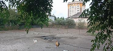 Torpaq sahələrinin satışı: 3 sot, Tikinti, Barter mümkündür, Kupça (Çıxarış) -da lalafo.az — 9 Torpaq sahələrinin satışı: 3 sot, Tikinti, Barter mümkündür, Kupça (Çıxarış) — 9