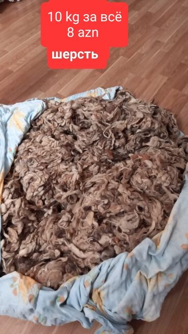 das yunun qiymeti: 10 kilo hamisi birlikdə cəmi 8 azn
Garaçuxurda yerləşir