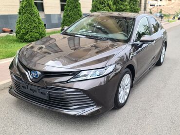 люк на камри: Toyota Camry: 2021 г., 2.5 л, Вариатор, Гибрид, Седан