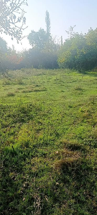 səki ev kirayə: Ağdaş rayon qarağan sıxlar kend 25 sot ağaçlı topraq satılır — 1