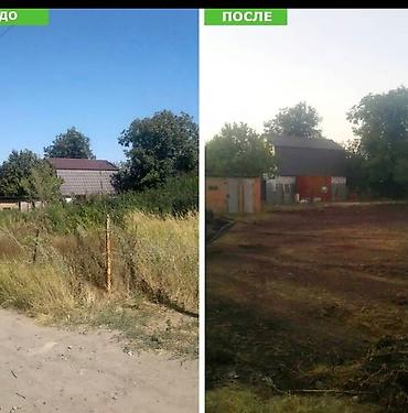 Уборка территории: Уборка территории, Уборка двора и сада — 5