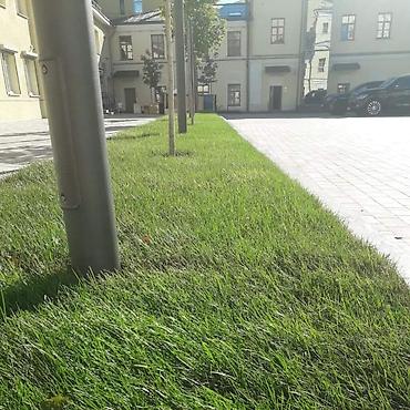 Ремонт сантехники: Ремонт сантехники Больше 6 лет опыта — 6