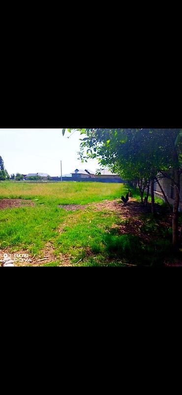 Redmi: Redmi, Redmi Note 8 Pro, Б/у, 128 ГБ, 2 SIM — 16