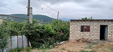 xizi: 20 sot, Mülkiyyətçi — 3