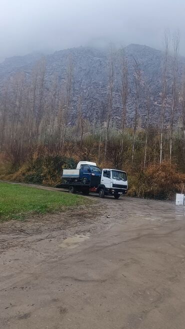 Услуги эвакуатора: С лебедкой, С манипулятором, С ломаной платформой — 8