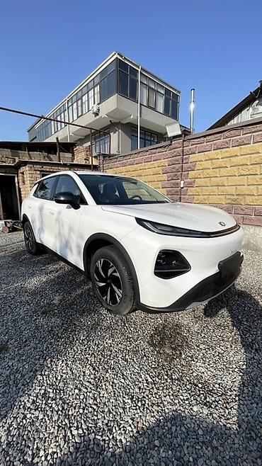 китайский кроссовер: Changan Qiyuan Q05: 2026 г., Электромобиль — 2