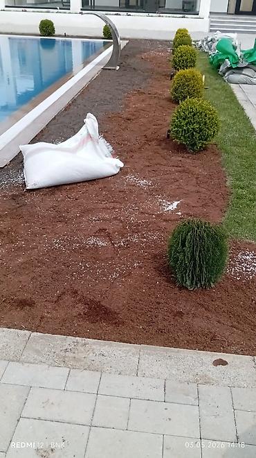 Torf: Təbbi qazon danimarka enli yarpaq çatrlma xidməti,qurasdrma cidmeti — 4
