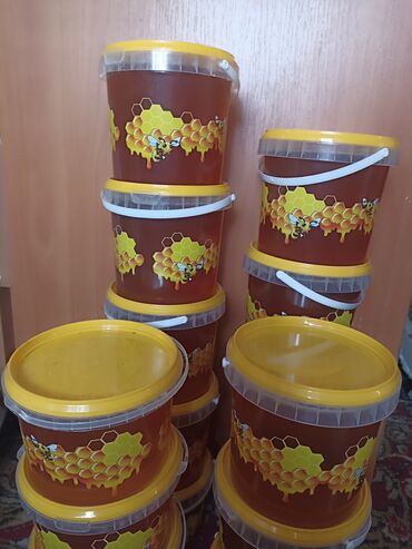 мясо говядина цена в бишкеке: Продаю натуральный горный мед! 1-кг. 500 сом