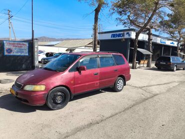 аккорд 2: Honda Odyssey: 1995 г., 2.2 л, Автомат, Газ, Минивэн