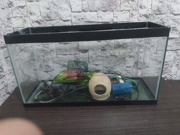 Прямоугольный аквариум, 30 л