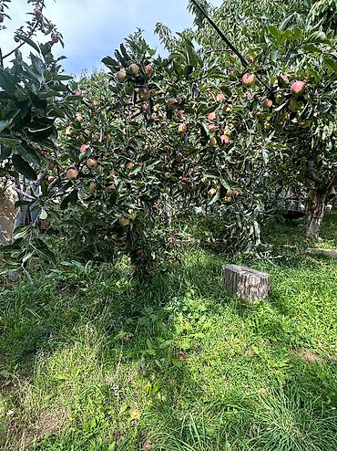 Продажа коттеджей и домов: Сдается на сезон — 28