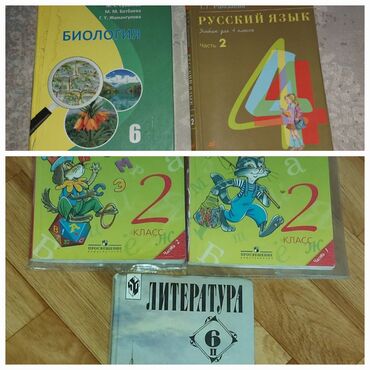 гдз по кыргызскому четвёртый класс: Русский язык, 4 класс, Б/у, Самовывоз