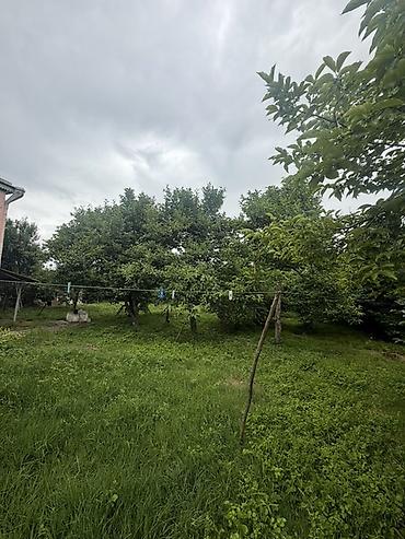 Torpaq sahələrinin satışı: 25 sot, Mülkiyyətçi, Kupça (Çıxarış) — 9