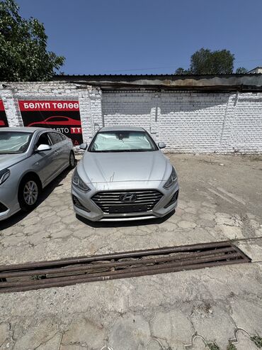 tayota runx: Hyundai Sonata: 2018 г., 2 л, Автомат, Газ, Седан
